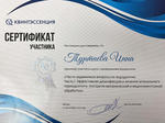 Сертификат о прохождении курса Ильи Мера на тему «Эффективная дезинфекция и лечение апикального периодонтита»